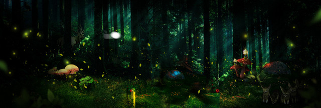 夜色下的森林BANNER