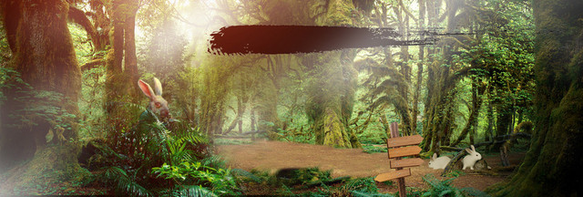 淘宝 店招 BANNER 背景
