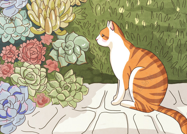 初夏猫咪和多肉插画海报背景