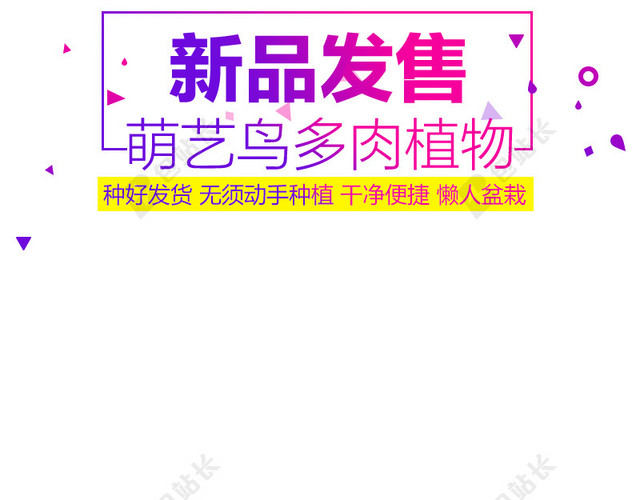 新品发售多肉植物简约主图