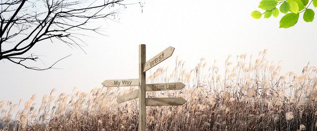学生毕业纪念册背景BANNER