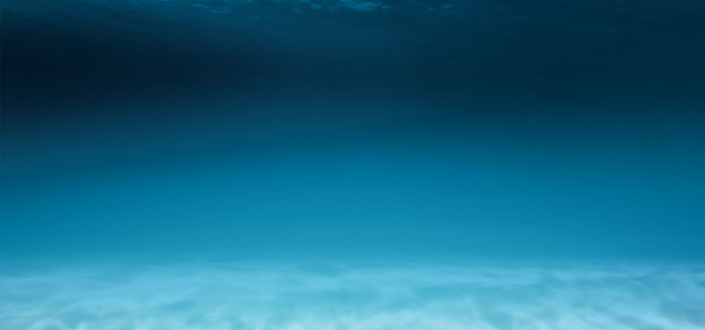 出水芙蓉水中芭蕾PSD人物图背景BANNER