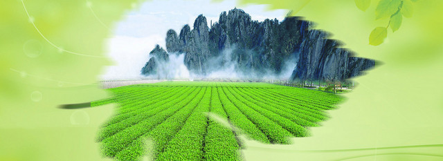 中国风古典茶叶文化BANNER素材