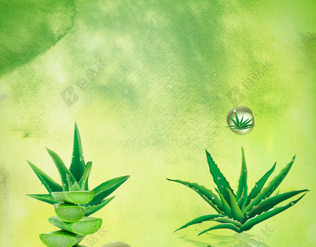补水芦荟化妆品主图