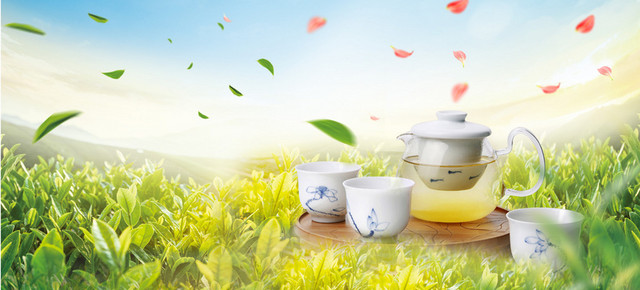 茶叶大气清新绿色BANNER