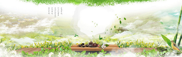 茶叶背景