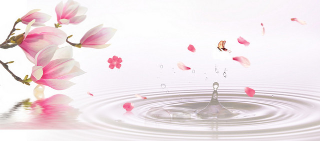 花瓣清新淡灰色背景BANNER