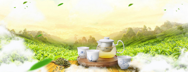 春茶上市大气景色云层黄BANNER