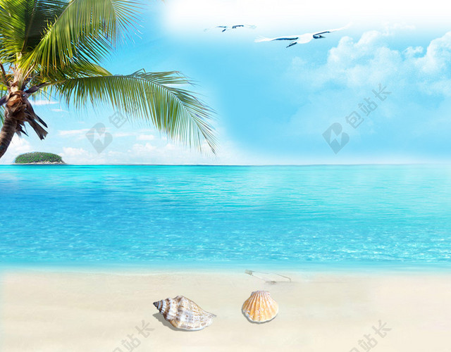 夏日清新沙滩贝壳椰树背景