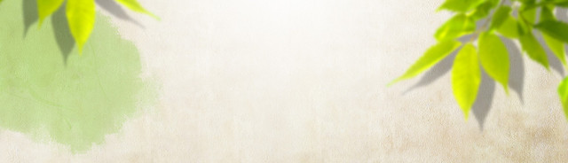 质感墙纸BANNER背景