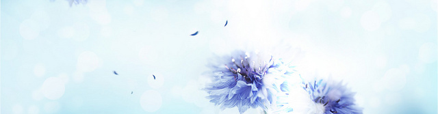 女装BANNER创意设计