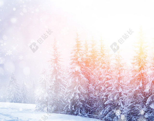 浪漫雪景主图背景