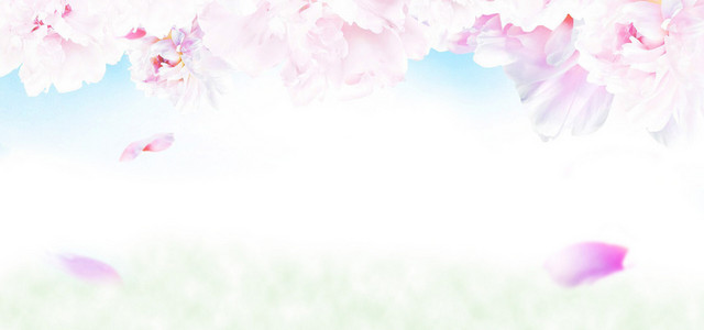 花茶海报