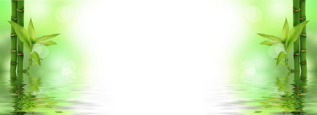 富贵竹简约淘宝海报背景BANNER