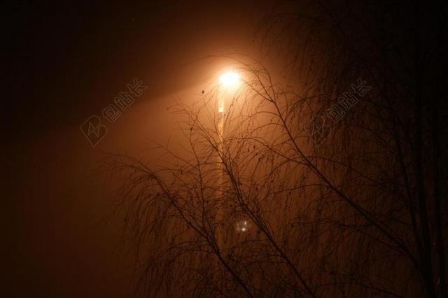 灯笼 路灯 树 晚上 分支机构 雾 丁达尔效应 背景 光