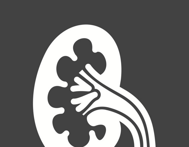 血管图标