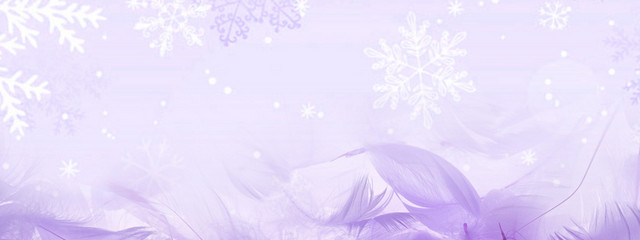 冬季雪花羽绒服背景
