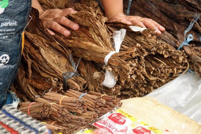 烟草 叶子 叶 干 棕色 不健康 雪茄