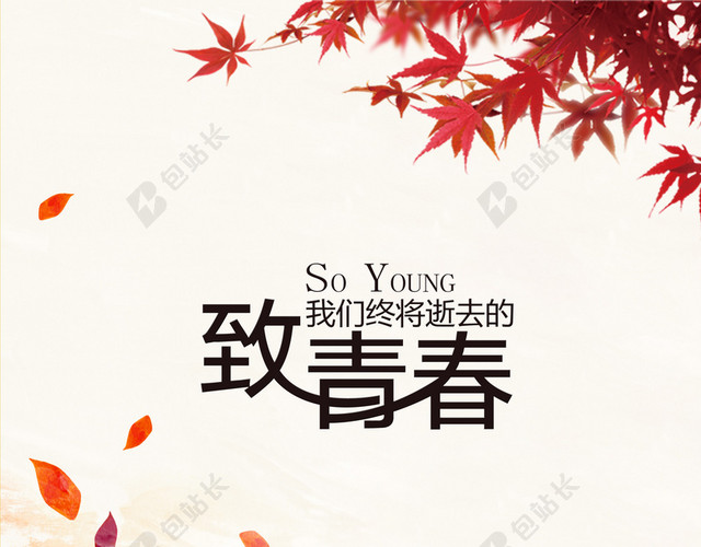 唯美枫叶飘零致青春背景素材 包站长 唯美枫叶飘零致青春背景素材 包站长