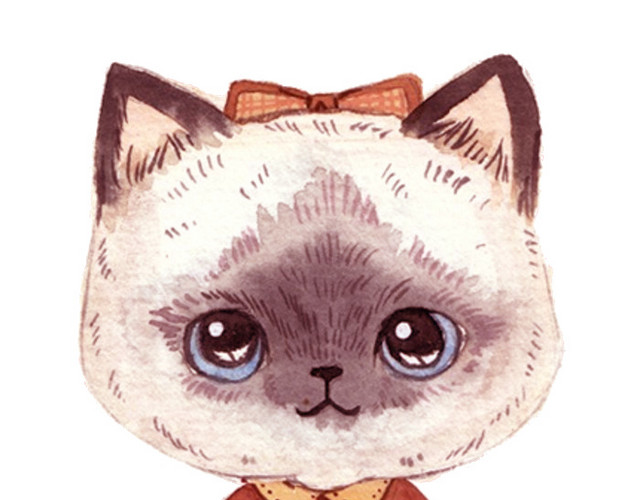 可爱猫女