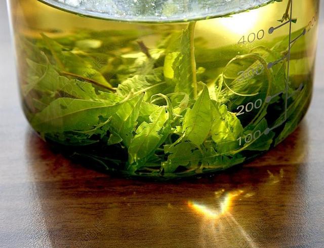 400ML绿色柠檬挟持茶背景图片
