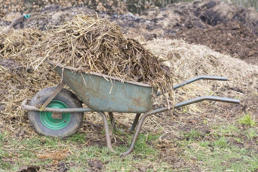 手推独轮车运输天然肥料背景图片