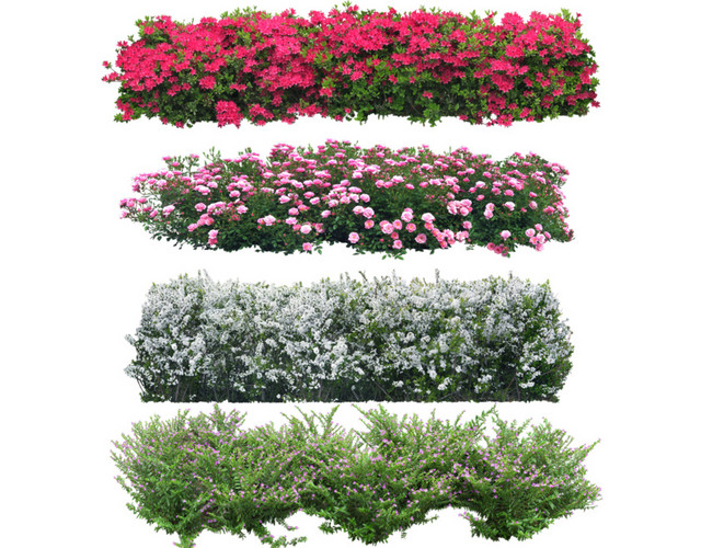 花草景观