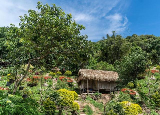 清迈 泰国 茅草屋 结构 自然 夏天 天空 云 旅行 景观
