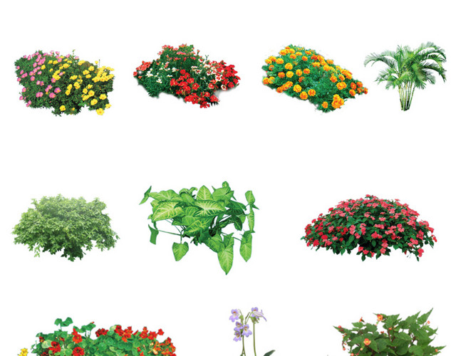 花草景观