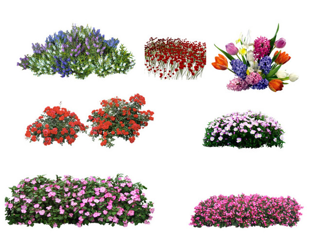 花花草草