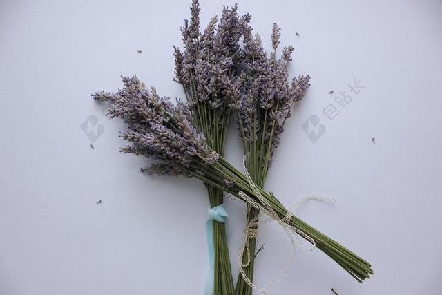 薰衣草 植物  芳香疗法 盛开 花 自然 香味