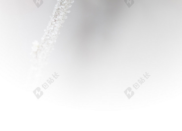 清新简约冬至节气背景