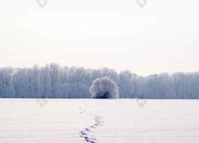 寒冷冬季小雪大雪节气背景素材
