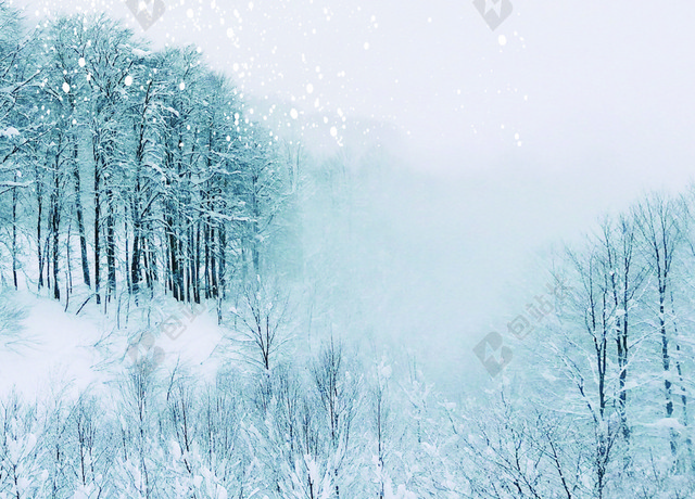 简约严冬飘雪小雪大雪节气背景素材