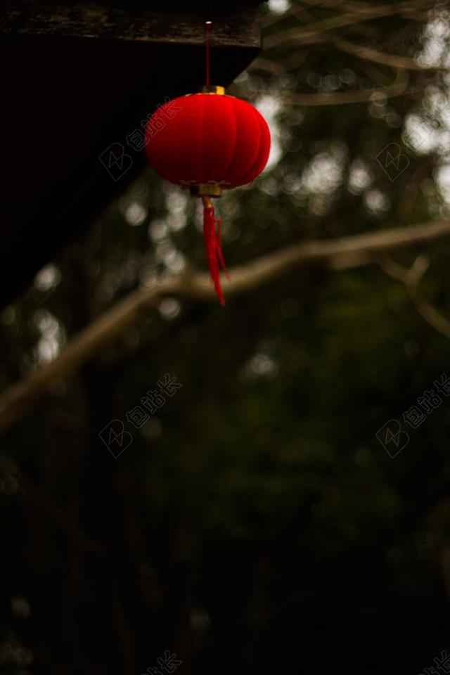 摄影自然挂在树枝上的灯笼背景图片