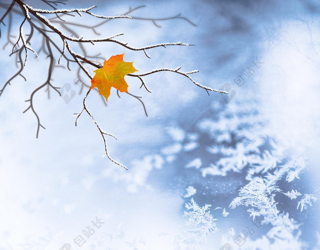 冬天冬至小寒节气小雪背景素材