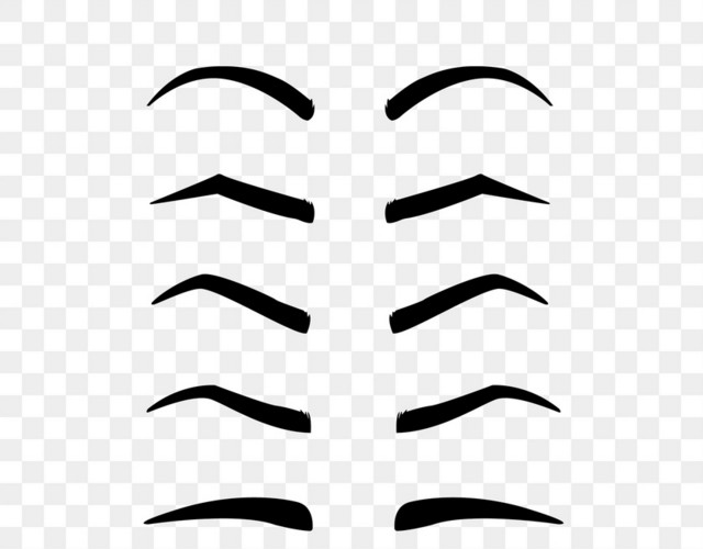 各种眉毛矢量素材