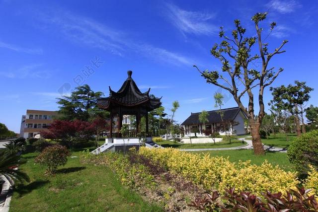 花园 草坪 校园