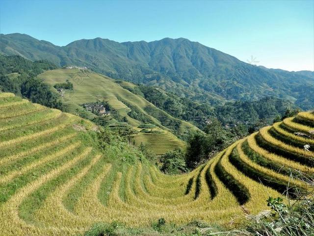 蓝色天空绿色梯田自然景观背景图片