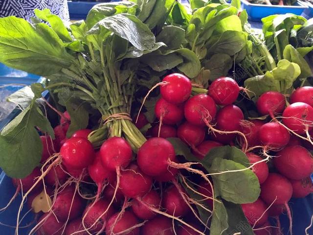 萝卜 新鲜 市场 食品 健康 原 蔬菜 红色 农业 花园