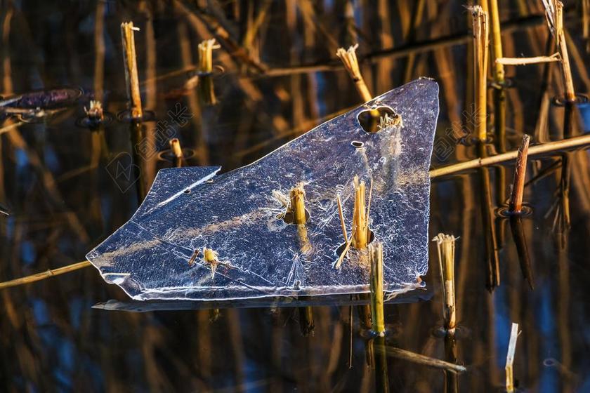 冰 冬季 解冻 弗罗斯特 性质 水 冷 湖 严寒 2 月