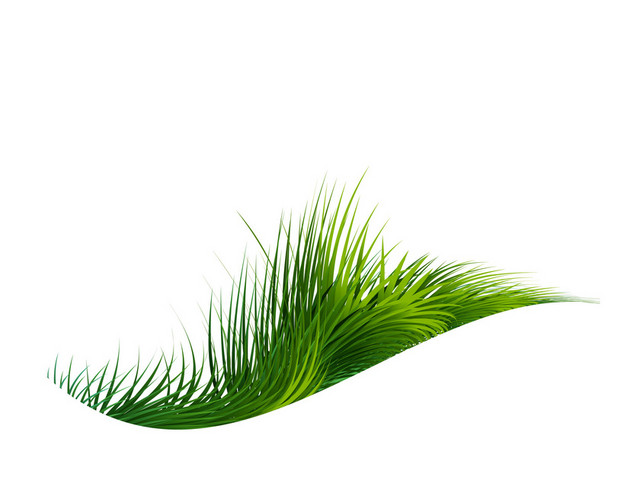 绿色草地素材