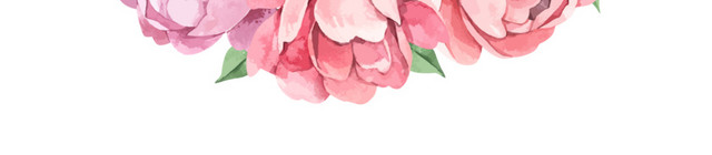玫瑰花素材