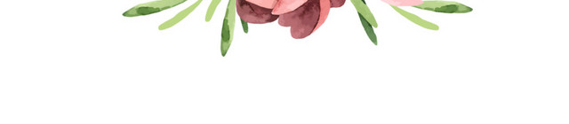 玫瑰花素材