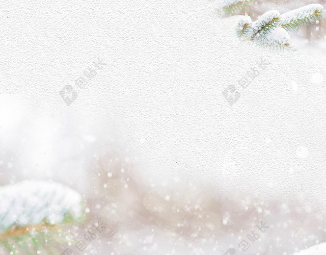 雪松冬季雪景二十四节气大雪小雪背景