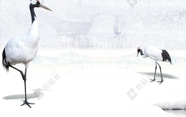 冬天冬至白色雪地白鹤手绘清新插画大雪小雪冬至冬季冬天背景素材