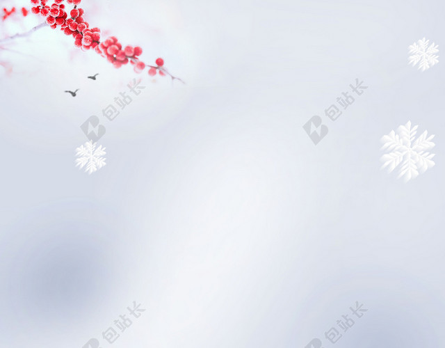 简约清新白色雪景大雪小雪冬至冬季冬天海报背景素材