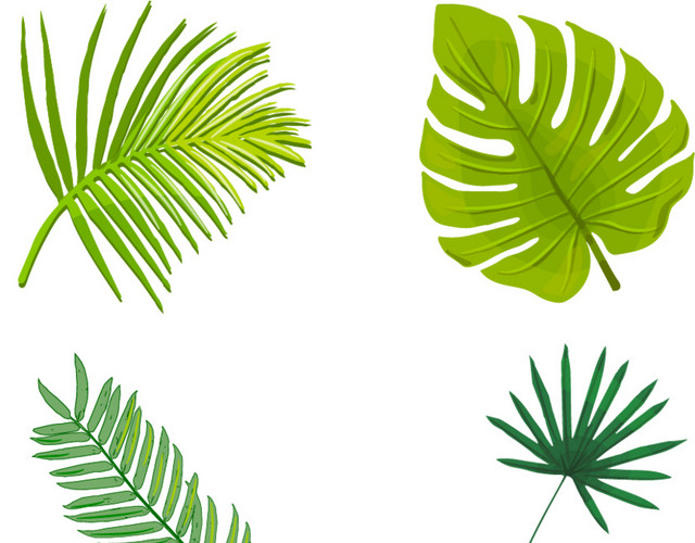 北欧风植物合集树叶