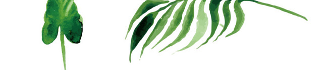 北欧风叶子树叶