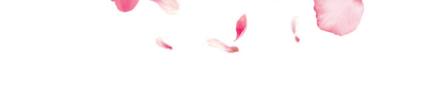 粉色花瓣